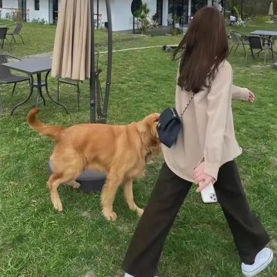 特洛伊